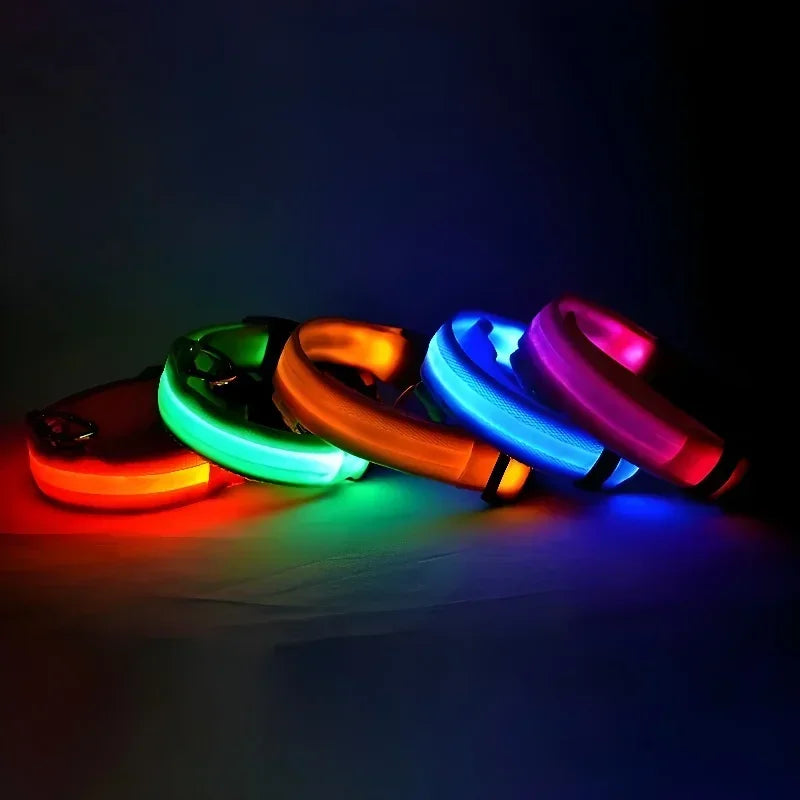 NightGlow LED Dog Collar