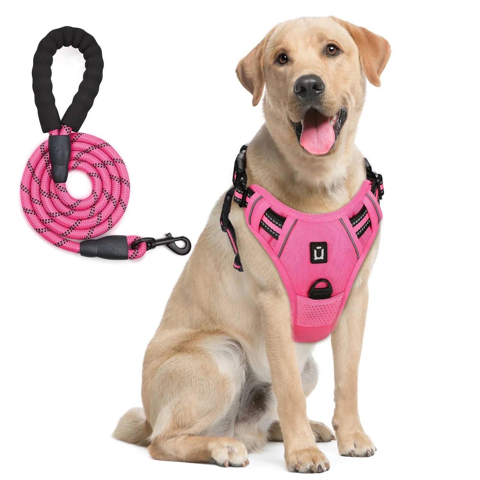 The Forge - Cushioned No-Pull Harness Combo with Reflective Leash