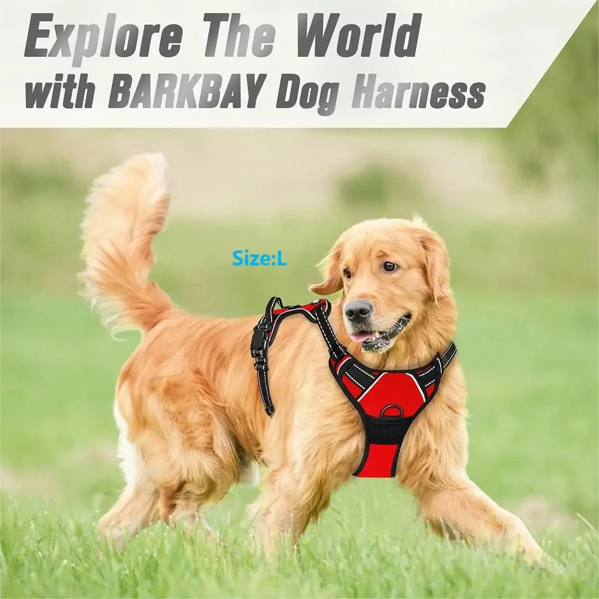 No-Pull Comfort Dog Harness