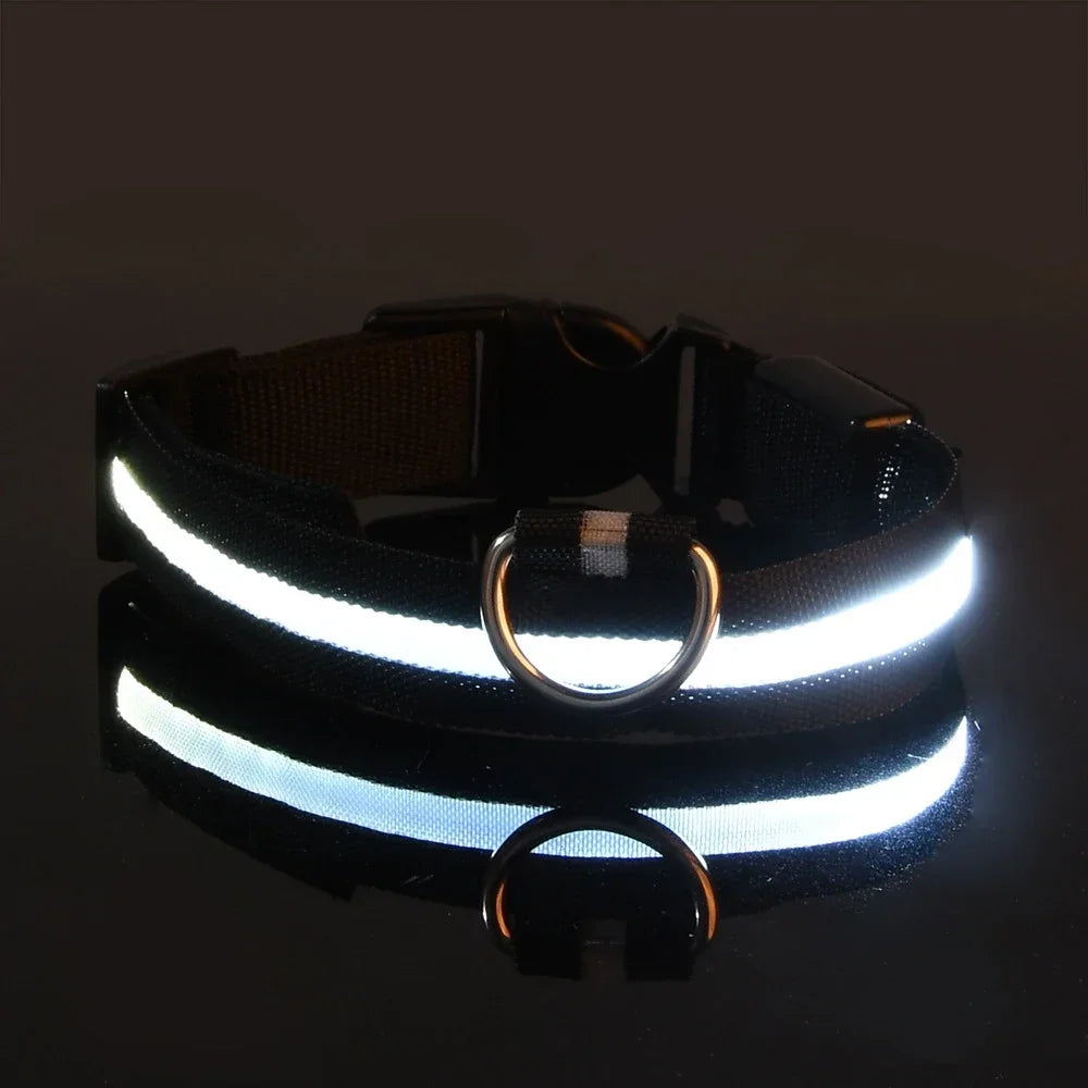 NightGlow LED Dog Collar
