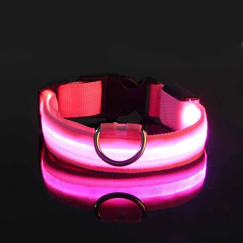 NightGlow LED Dog Collar