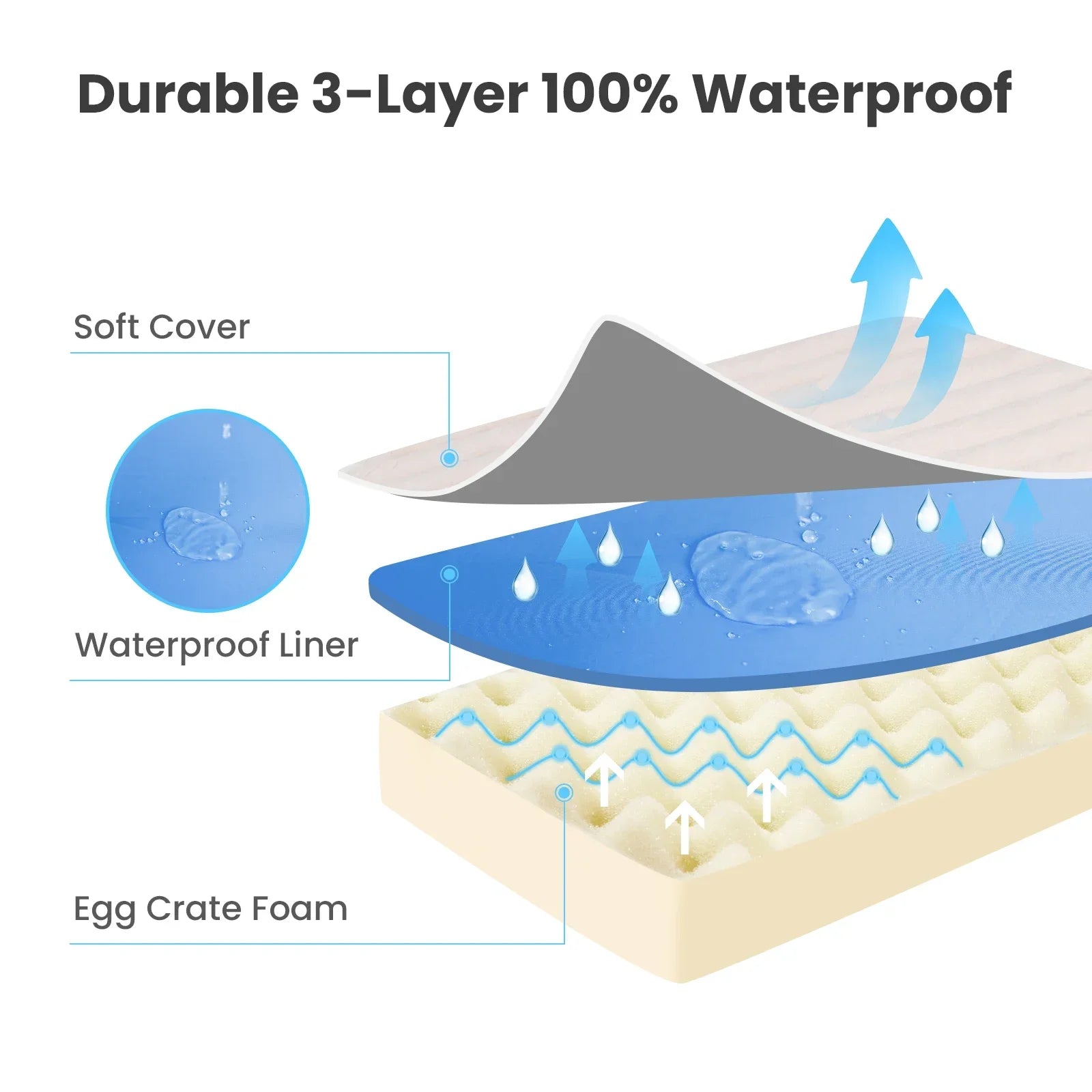 SnoozeTherapy Orthopedic Dog Bed Mat