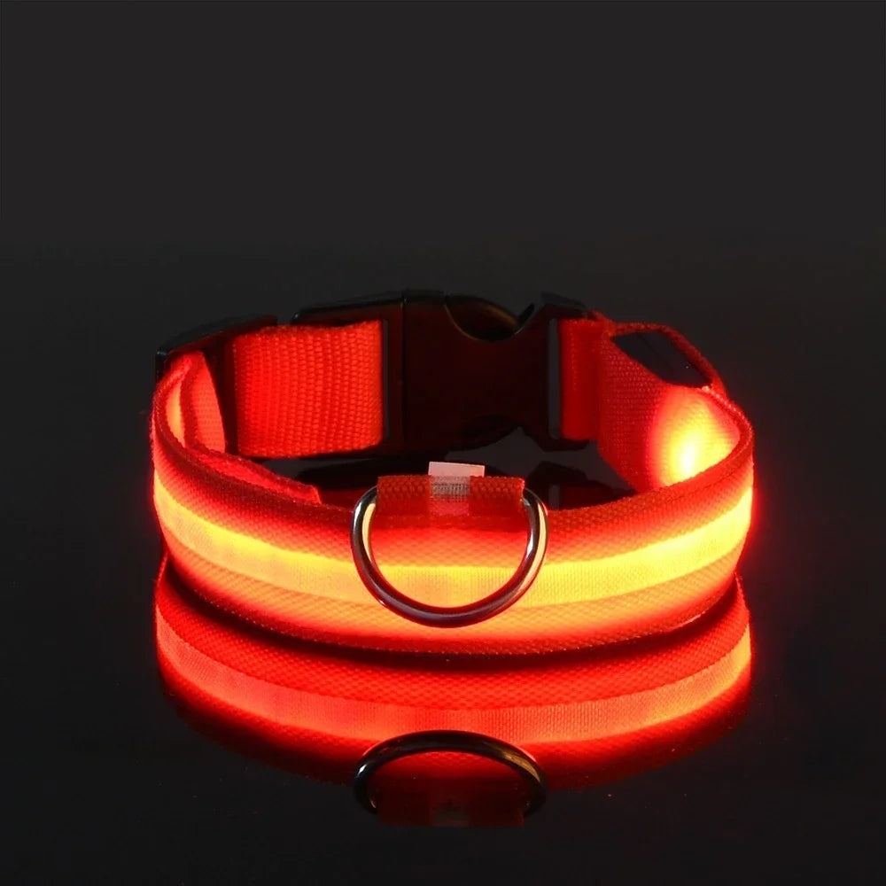 NightGlow LED Dog Collar