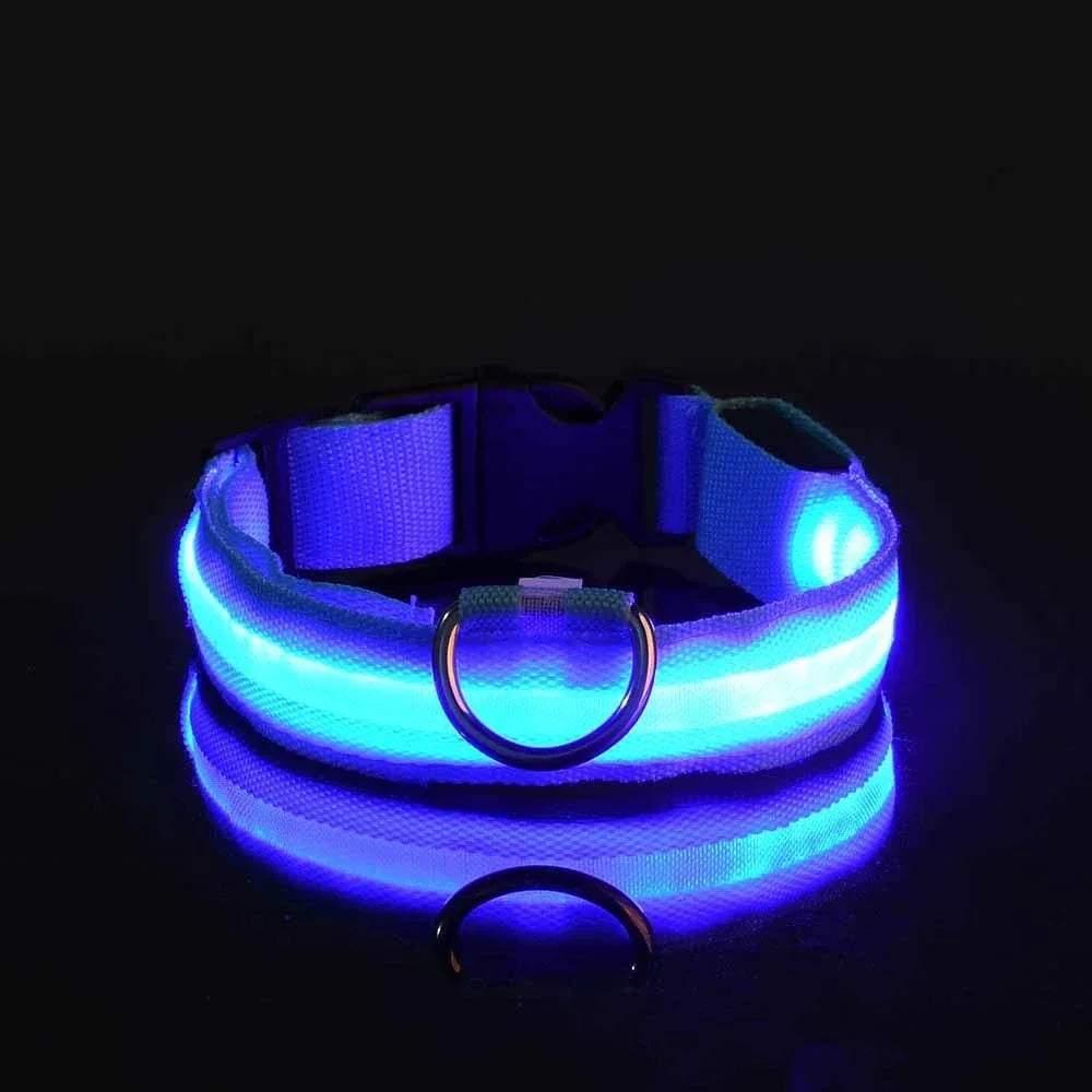 NightGlow LED Dog Collar