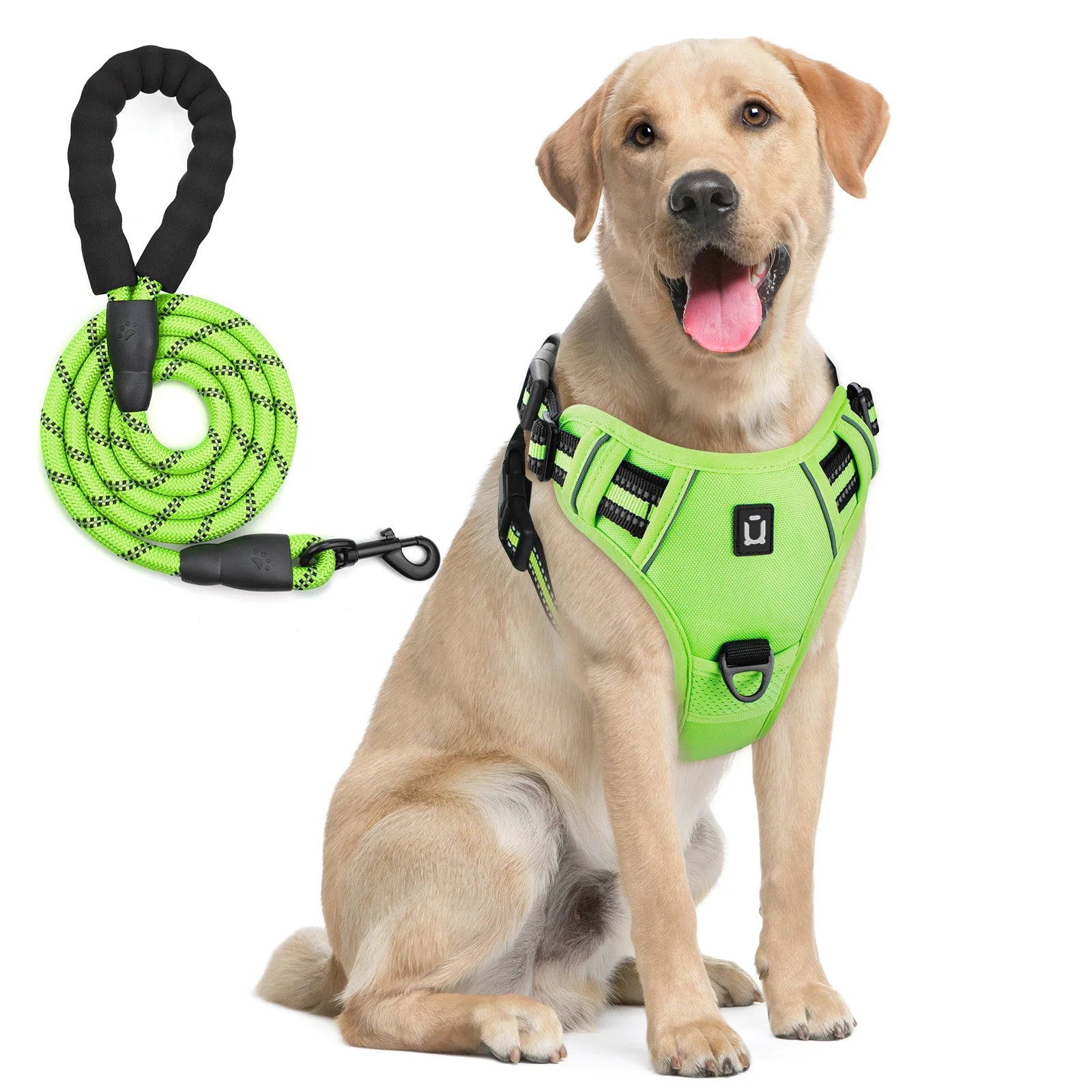 The Forge - Cushioned No-Pull Harness Combo with Reflective Leash