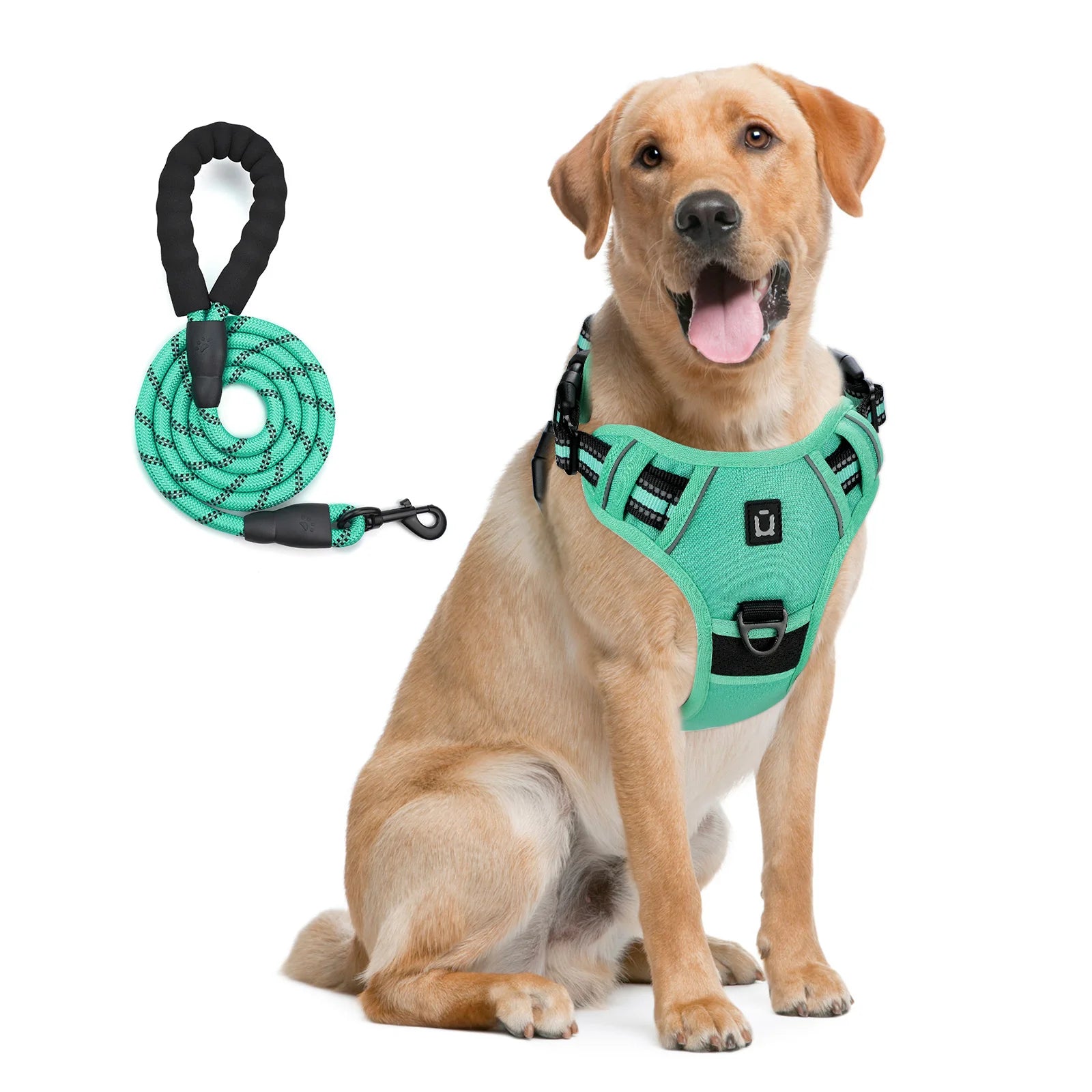 The Forge - Cushioned No-Pull Harness Combo with Reflective Leash