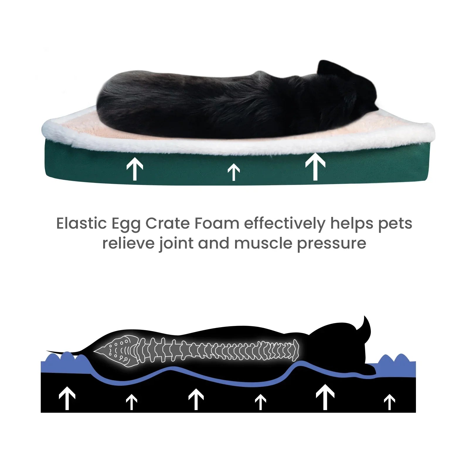 SnoozeTherapy Orthopedic Dog Bed Mat