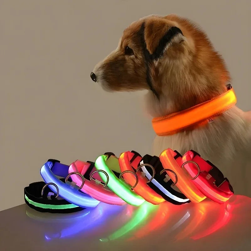 NightGlow LED Dog Collar