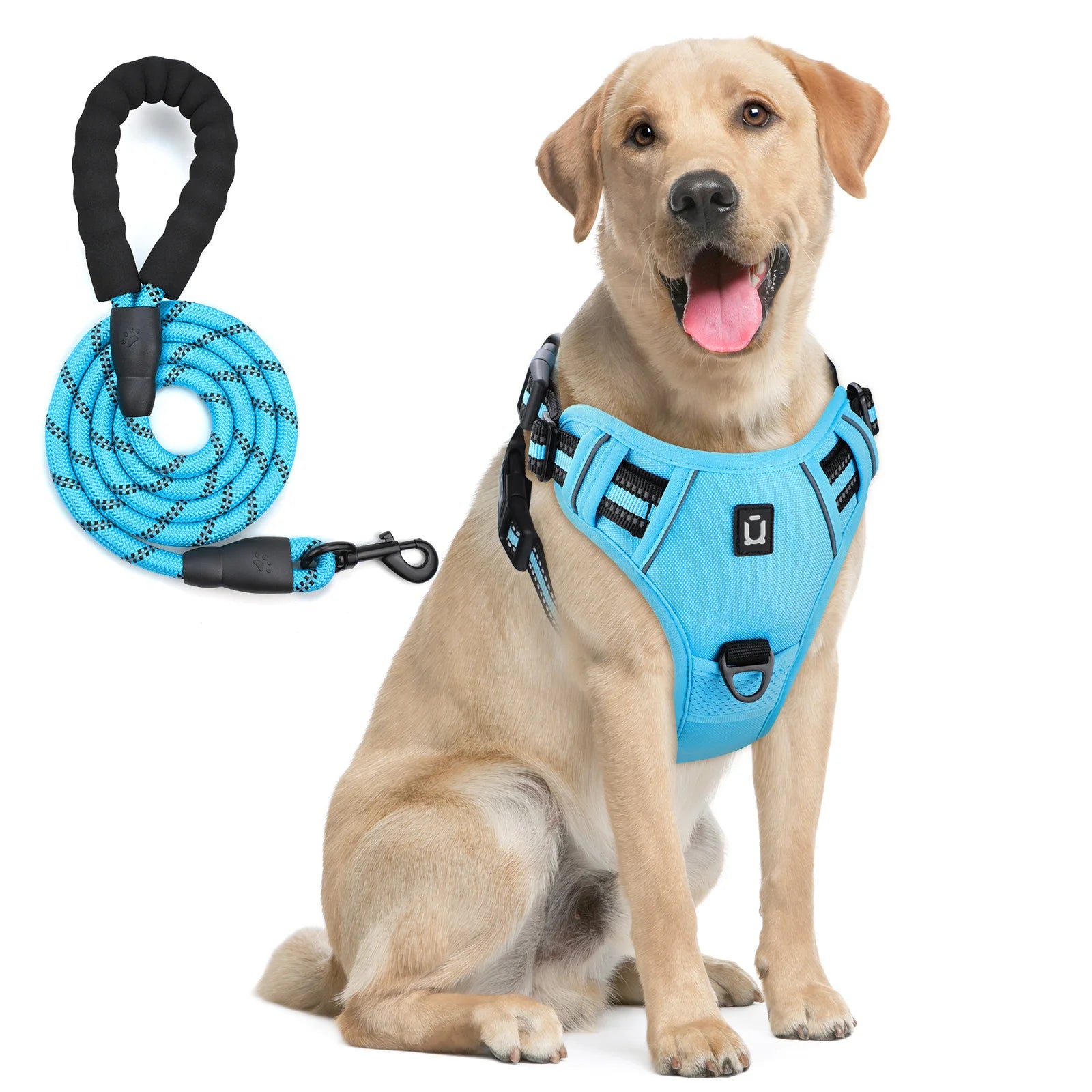 The Forge - Cushioned No-Pull Harness Combo with Reflective Leash