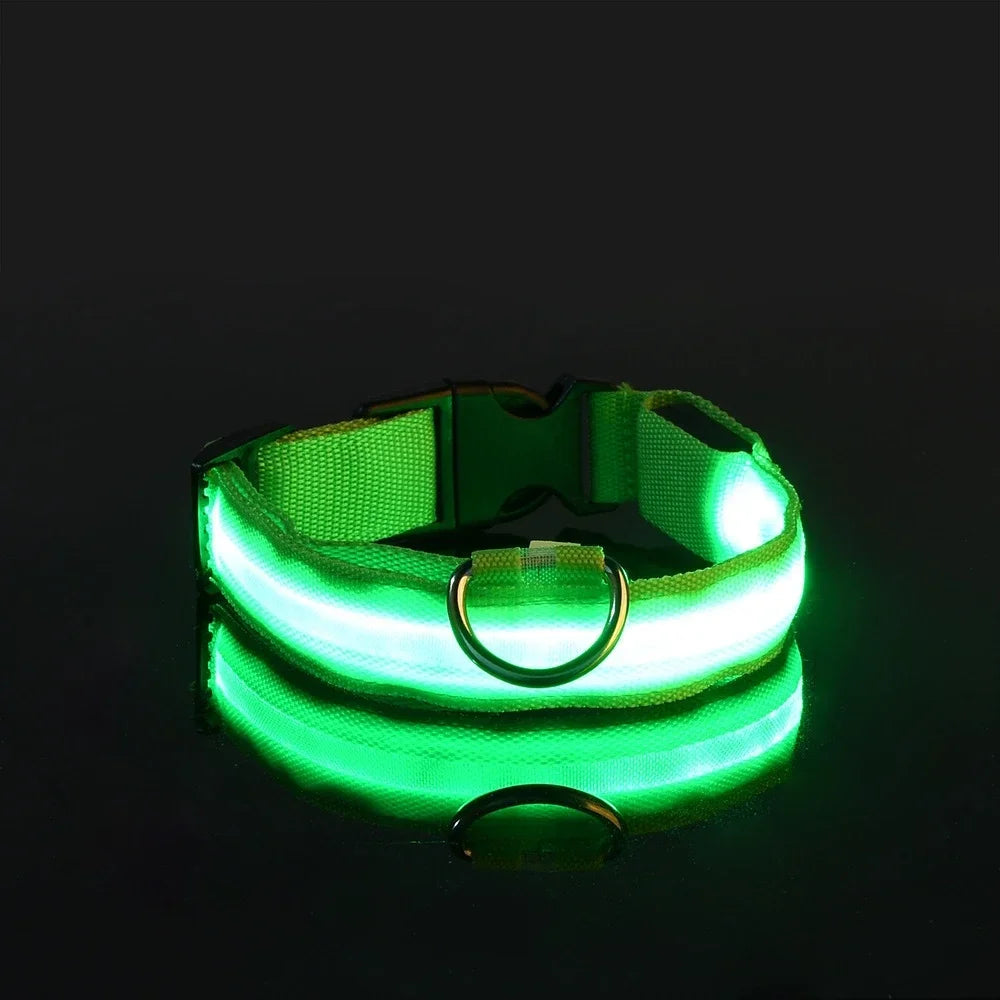 NightGlow LED Dog Collar